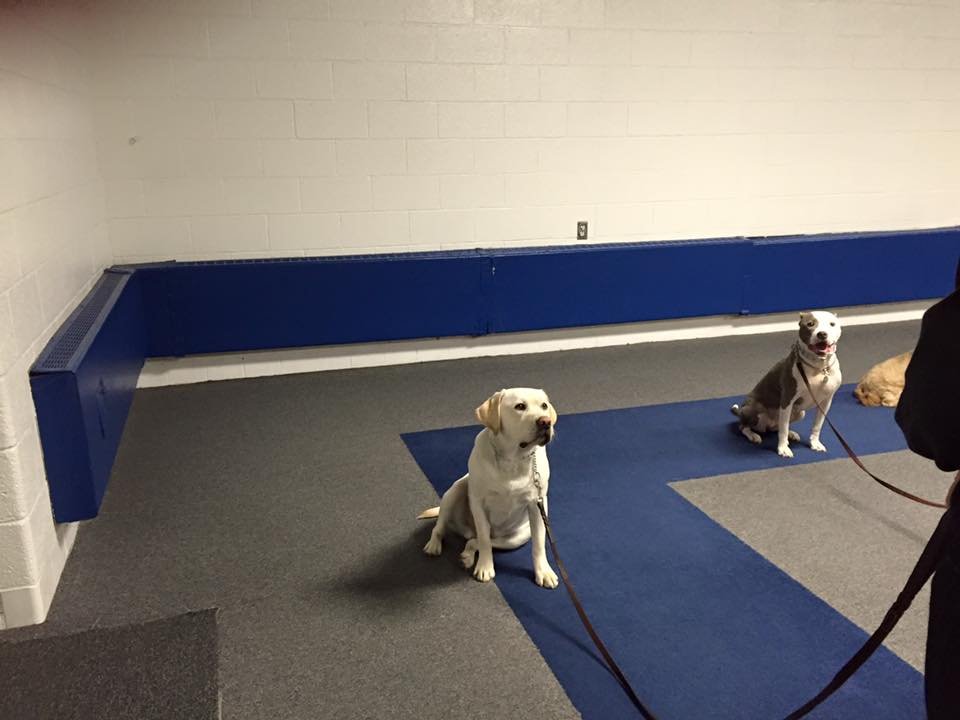 Advanced Tactical Training 8