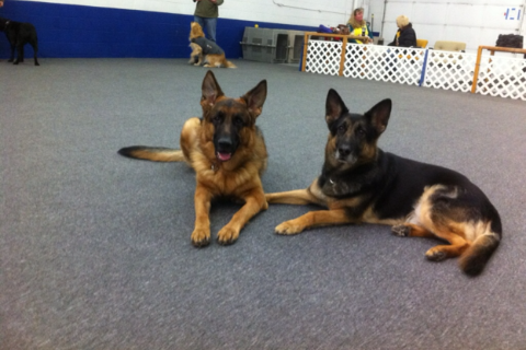 Facility Maintenance 11