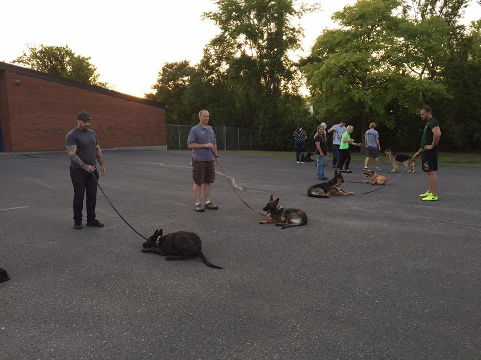 SWAT Team Coordination 6