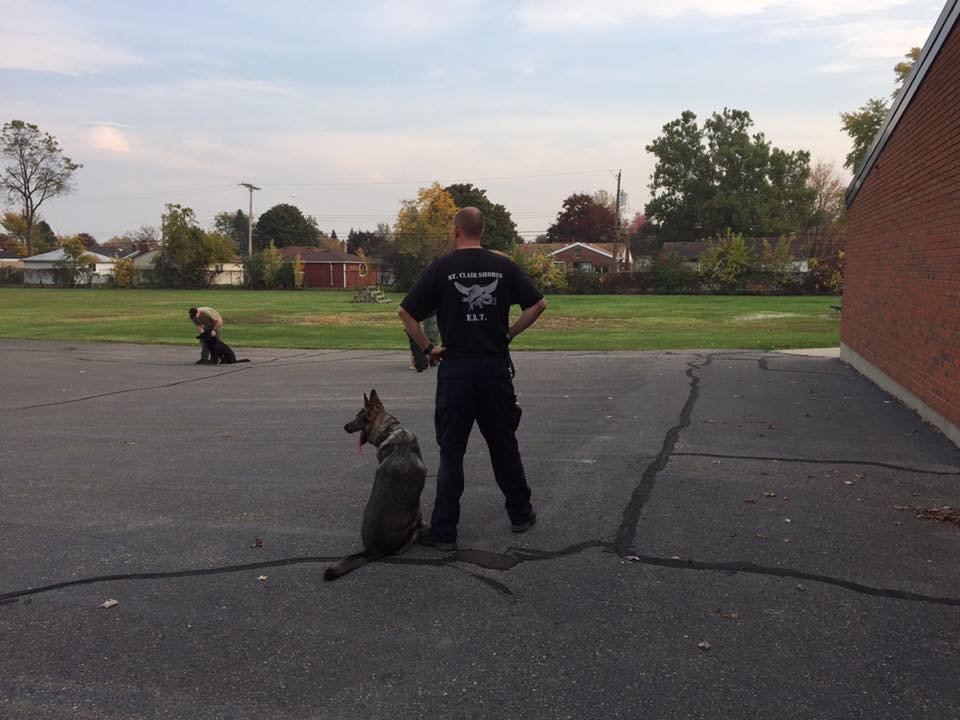 Success Story Celebration 14