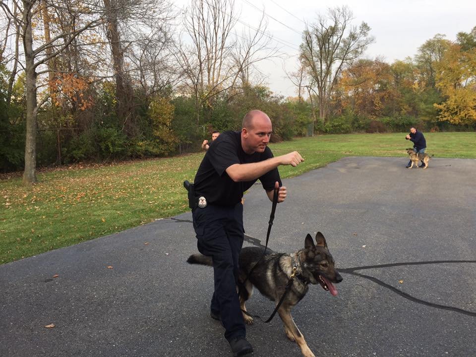 Narcotics Detection Demonstration 5