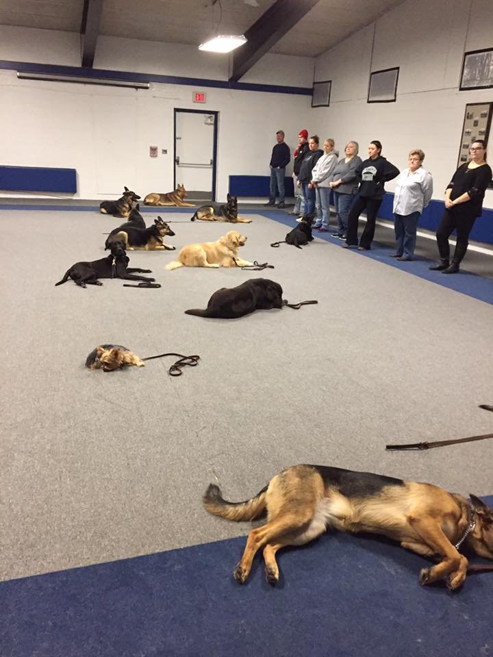 Detection Equipment 13