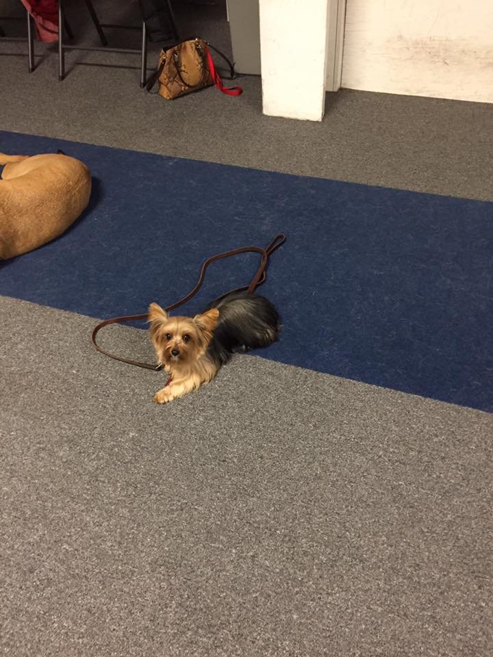 Certification Ceremony 9