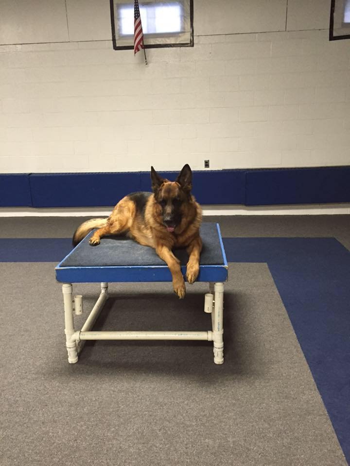 Facility Training Equipment 3