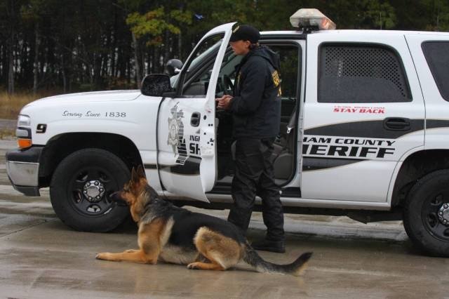 Vehicle Stop Training