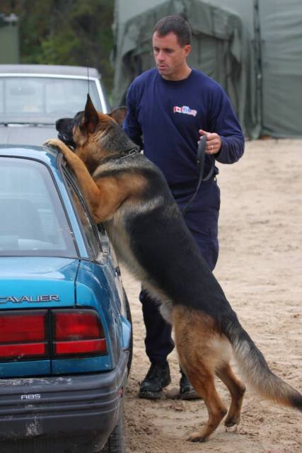 Narcotics Detection Demonstration